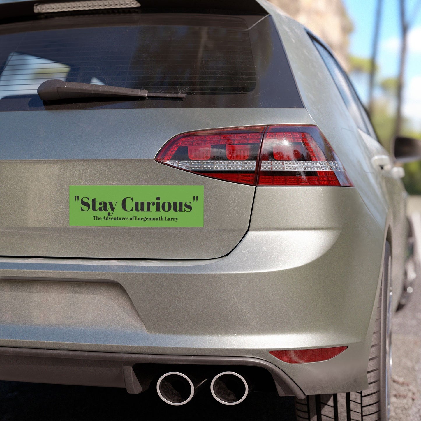 Stay Curious Car Magnets, Adventure Magnets, Inspirational Car Décor, Auto Accessories, Gift for Nature Lovers